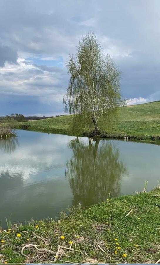 Agroturystyka Nad Jeziorem Silickim Ilinscy Silice Exterior foto